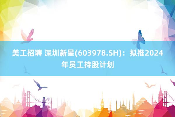 美工招聘 深圳新星(603978.SH)：拟推2024年员工持股计划