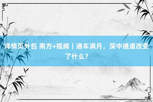 详情页外包 南方+视频｜通车满月，深中通道改变了什么？