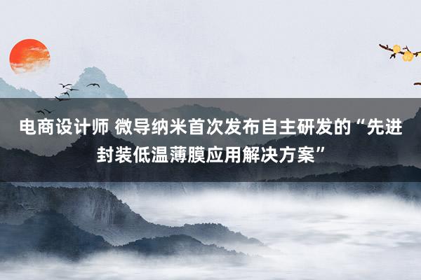 电商设计师 微导纳米首次发布自主研发的“先进封装低温薄膜应用解决方案”